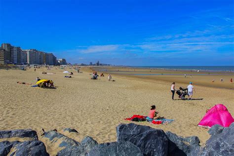 Augurk aan zee 2025